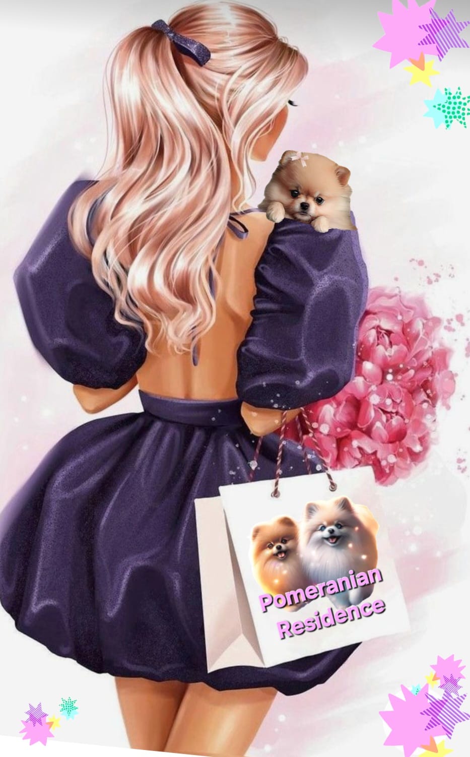 Pomeranian Residence Exclusie Pomeranian Breeder.jpg